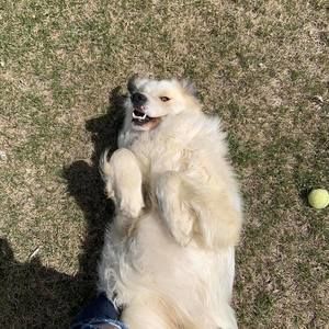 Meet your Posher, Georgia